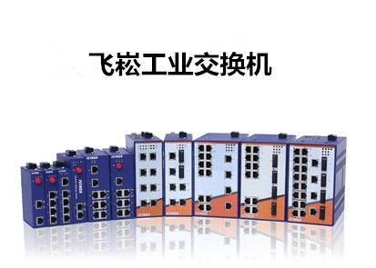 2017國產(chǎn)工業(yè)交換機品牌排名出爐 飛崧位列第三
